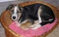 ricky7_11_05a