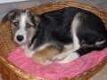 ricky7_11_05a