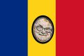 drapelIliescu