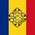 drapelviitor2
