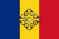 drapelviitor2