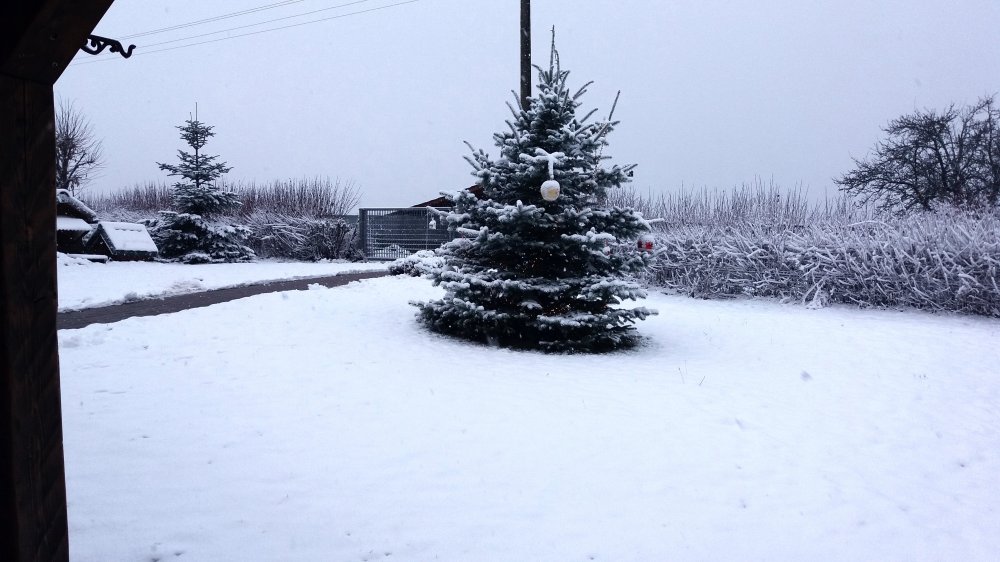 20191224_093146 20191224_093146