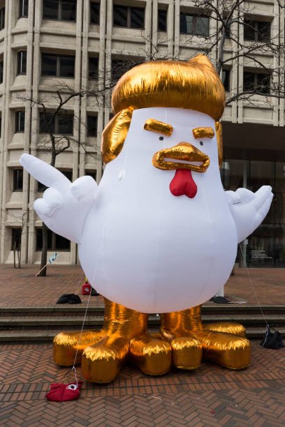 Trump-chicken Trump-chicken
